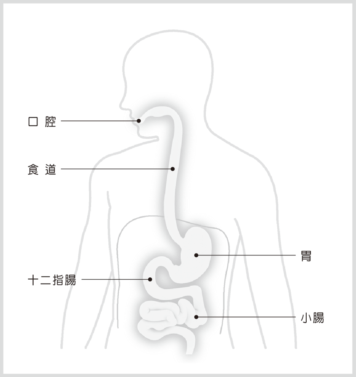 食道癌