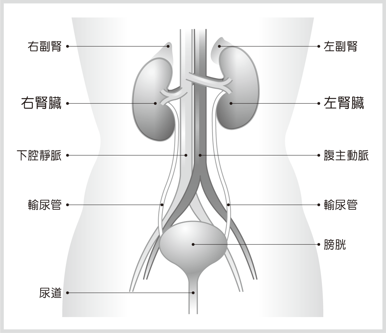 腎臟癌