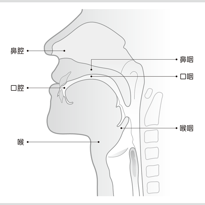 頭頸部